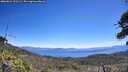 ./images/calvert/fitz-hugh-hecate/20260624/fitz-hugh-hecate20260624_121501M.jpg