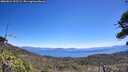 ./images/calvert/fitz-hugh-hecate/20260624/fitz-hugh-hecate20260624_122501M.jpg