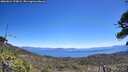 ./images/calvert/fitz-hugh-hecate/20260624/fitz-hugh-hecate20260624_124002M.jpg