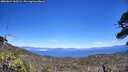 ./images/calvert/fitz-hugh-hecate/20260624/fitz-hugh-hecate20260624_143501M.jpg