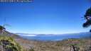 ./images/calvert/fitz-hugh-hecate/20260624/fitz-hugh-hecate20260624_154001M.jpg