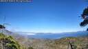 ./images/calvert/fitz-hugh-hecate/20260624/fitz-hugh-hecate20260624_154501M.jpg