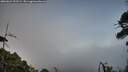 ./images/calvert/fitz-hugh-hecate/20260624/fitz-hugh-hecate20260624_192502M.jpg