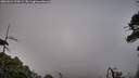 ./images/calvert/fitz-hugh-hecate/20260624/fitz-hugh-hecate20260624_220002M.jpg