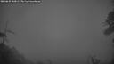 ./images/calvert/fitz-hugh-hecate/20260625/fitz-hugh-hecate20260625_043001M.jpg
