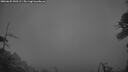 ./images/calvert/fitz-hugh-hecate/20260625/fitz-hugh-hecate20260625_043501M.jpg