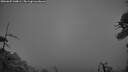 ./images/calvert/fitz-hugh-hecate/20260625/fitz-hugh-hecate20260625_044001M.jpg