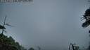 ./images/calvert/fitz-hugh-hecate/20260625/fitz-hugh-hecate20260625_050002M.jpg