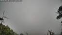 ./images/calvert/fitz-hugh-hecate/20260625/fitz-hugh-hecate20260625_063002M.jpg