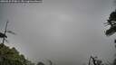 ./images/calvert/fitz-hugh-hecate/20260625/fitz-hugh-hecate20260625_070001M.jpg