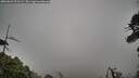 ./images/calvert/fitz-hugh-hecate/20260625/fitz-hugh-hecate20260625_071502M.jpg