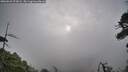 ./images/calvert/fitz-hugh-hecate/20260625/fitz-hugh-hecate20260625_073002M.jpg
