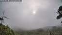 ./images/calvert/fitz-hugh-hecate/20260625/fitz-hugh-hecate20260625_074001M.jpg
