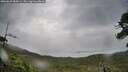 ./images/calvert/fitz-hugh-hecate/20260625/fitz-hugh-hecate20260625_084501M.jpg
