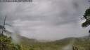 ./images/calvert/fitz-hugh-hecate/20260625/fitz-hugh-hecate20260625_093501M.jpg