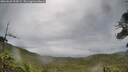 ./images/calvert/fitz-hugh-hecate/20260625/fitz-hugh-hecate20260625_094501M.jpg