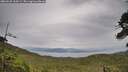 ./images/calvert/fitz-hugh-hecate/20260625/fitz-hugh-hecate20260625_100501M.jpg