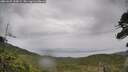 ./images/calvert/fitz-hugh-hecate/20260625/fitz-hugh-hecate20260625_110001M.jpg