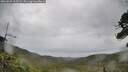 ./images/calvert/fitz-hugh-hecate/20260625/fitz-hugh-hecate20260625_111501M.jpg