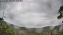 ./images/calvert/fitz-hugh-hecate/20260625/fitz-hugh-hecate20260625_113001M.jpg