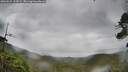 ./images/calvert/fitz-hugh-hecate/20260625/fitz-hugh-hecate20260625_113501M.jpg