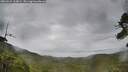 ./images/calvert/fitz-hugh-hecate/20260625/fitz-hugh-hecate20260625_114001M.jpg