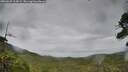 ./images/calvert/fitz-hugh-hecate/20260625/fitz-hugh-hecate20260625_114501M.jpg