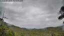 ./images/calvert/fitz-hugh-hecate/20260625/fitz-hugh-hecate20260625_115502M.jpg
