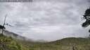 ./images/calvert/fitz-hugh-hecate/20260625/fitz-hugh-hecate20260625_132501M.jpg
