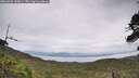 ./images/calvert/fitz-hugh-hecate/20260625/fitz-hugh-hecate20260625_135001M.jpg