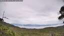 ./images/calvert/fitz-hugh-hecate/20260625/fitz-hugh-hecate20260625_135501M.jpg