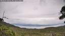 ./images/calvert/fitz-hugh-hecate/20260625/fitz-hugh-hecate20260625_152002M.jpg