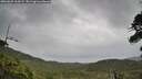 ./images/calvert/fitz-hugh-hecate/20260625/fitz-hugh-hecate20260625_164501M.jpg
