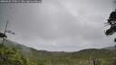 ./images/calvert/fitz-hugh-hecate/20260625/fitz-hugh-hecate20260625_170001M.jpg