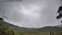 ./images/calvert/fitz-hugh-hecate/20260625/fitz-hugh-hecate20260625_170501M.jpg