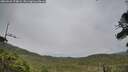 ./images/calvert/fitz-hugh-hecate/20260625/fitz-hugh-hecate20260625_174001M.jpg