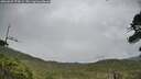 ./images/calvert/fitz-hugh-hecate/20260625/fitz-hugh-hecate20260625_174501M.jpg