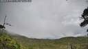 ./images/calvert/fitz-hugh-hecate/20260625/fitz-hugh-hecate20260625_175501M.jpg