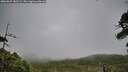 ./images/calvert/fitz-hugh-hecate/20260625/fitz-hugh-hecate20260625_181501M.jpg