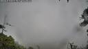 ./images/calvert/fitz-hugh-hecate/20260625/fitz-hugh-hecate20260625_195501M.jpg