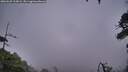 ./images/calvert/fitz-hugh-hecate/20260625/fitz-hugh-hecate20260625_215001M.jpg