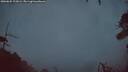 ./images/calvert/fitz-hugh-hecate/20260625/fitz-hugh-hecate20260625_223001M.jpg