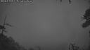 ./images/calvert/fitz-hugh-hecate/20260625/fitz-hugh-hecate20260625_223501M.jpg