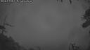 ./images/calvert/fitz-hugh-hecate/20260625/fitz-hugh-hecate20260625_224001M.jpg