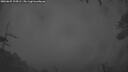 ./images/calvert/fitz-hugh-hecate/20260625/fitz-hugh-hecate20260625_224501M.jpg
