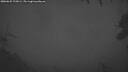 ./images/calvert/fitz-hugh-hecate/20260625/fitz-hugh-hecate20260625_225001M.jpg