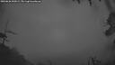 ./images/calvert/fitz-hugh-hecate/20260626/fitz-hugh-hecate20260626_043001M.jpg