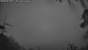 ./images/calvert/fitz-hugh-hecate/20260626/fitz-hugh-hecate20260626_043501M.jpg