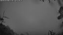 ./images/calvert/fitz-hugh-hecate/20260626/fitz-hugh-hecate20260626_044001M.jpg