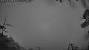 ./images/calvert/fitz-hugh-hecate/20260626/fitz-hugh-hecate20260626_044501M.jpg
